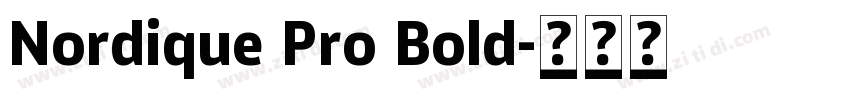 Nordique Pro Bold字体转换
